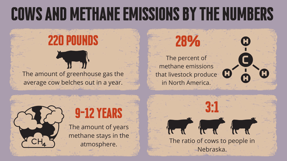 Cows Methane